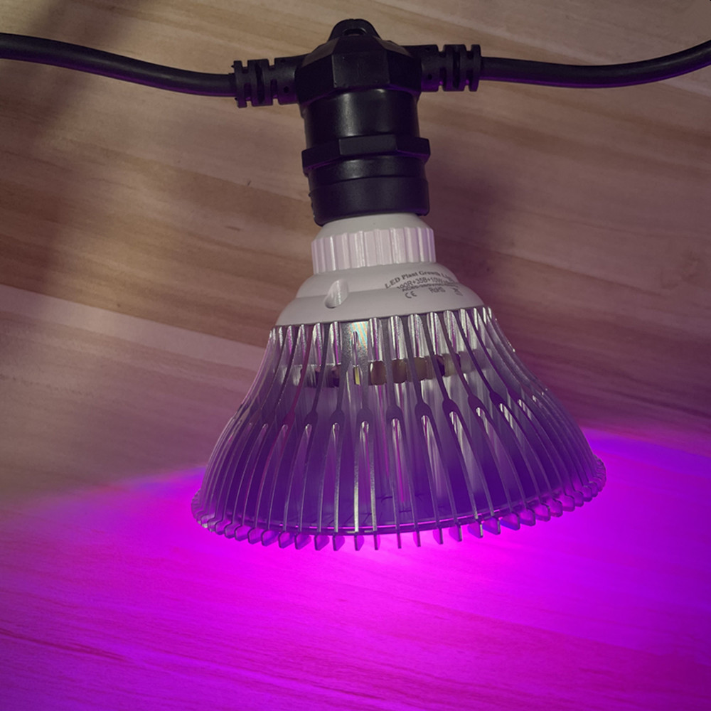 10 メートルケーブル LED ストリング商用グレード防水  - Outdoor Power Adapter のレビューと価格